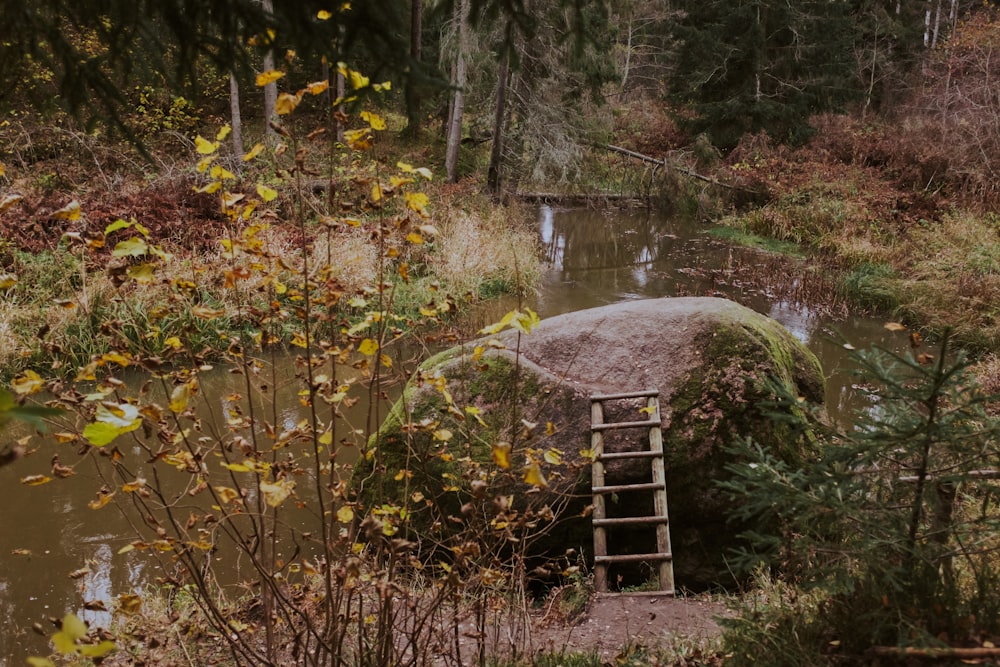 brown wooden bridge over river