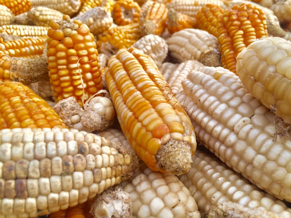 corn on gray metal tray