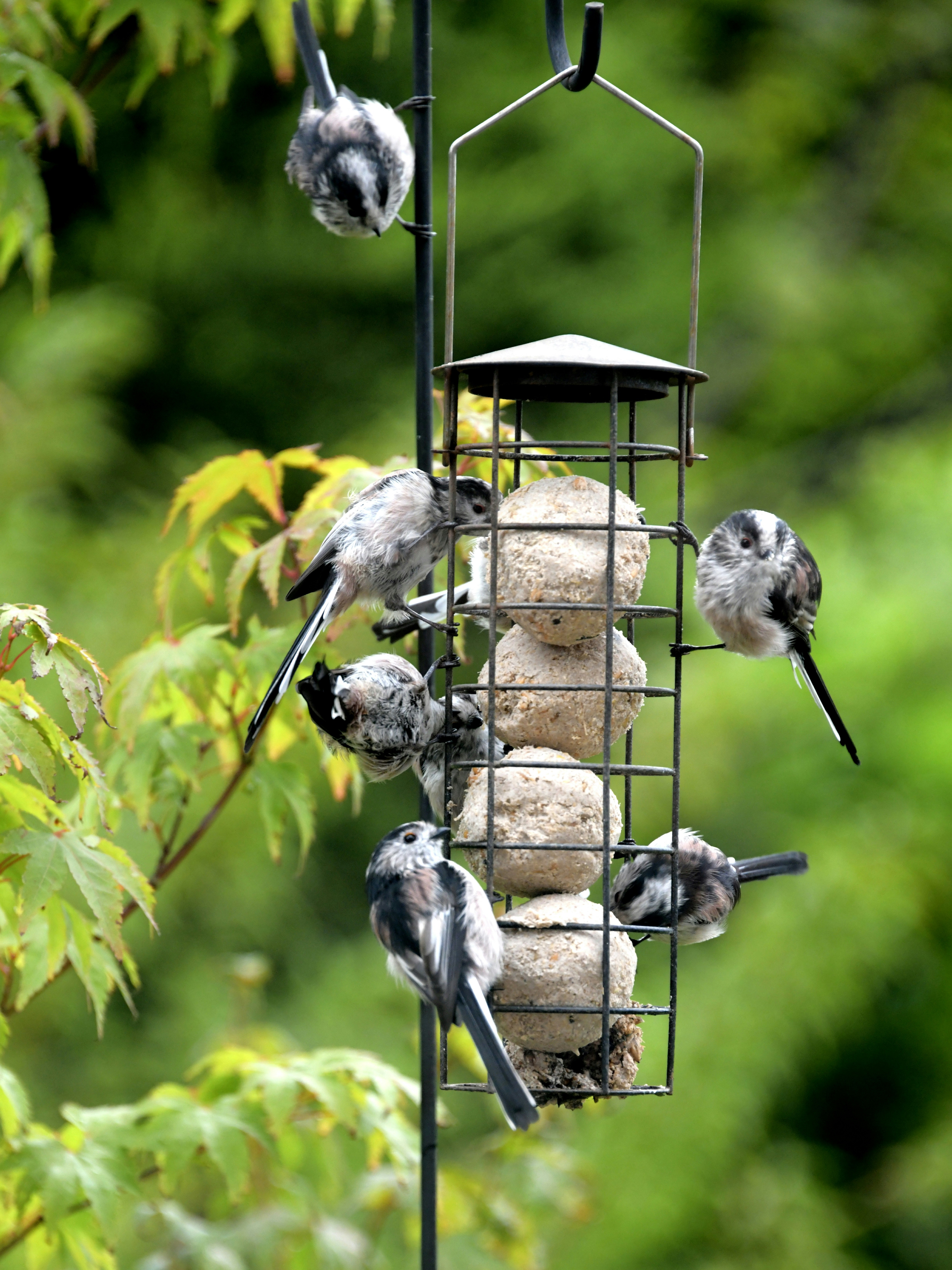 Photo by bill_eccles