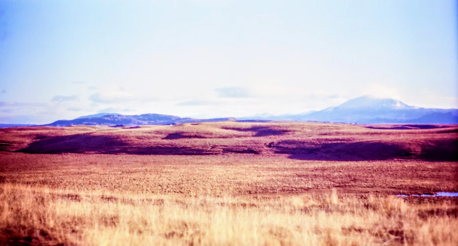 Brown grass field below a brown mountain