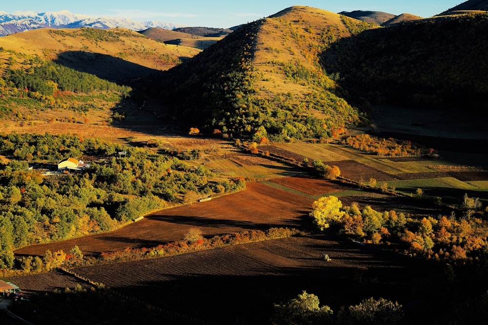 green and brown mountains during daytime