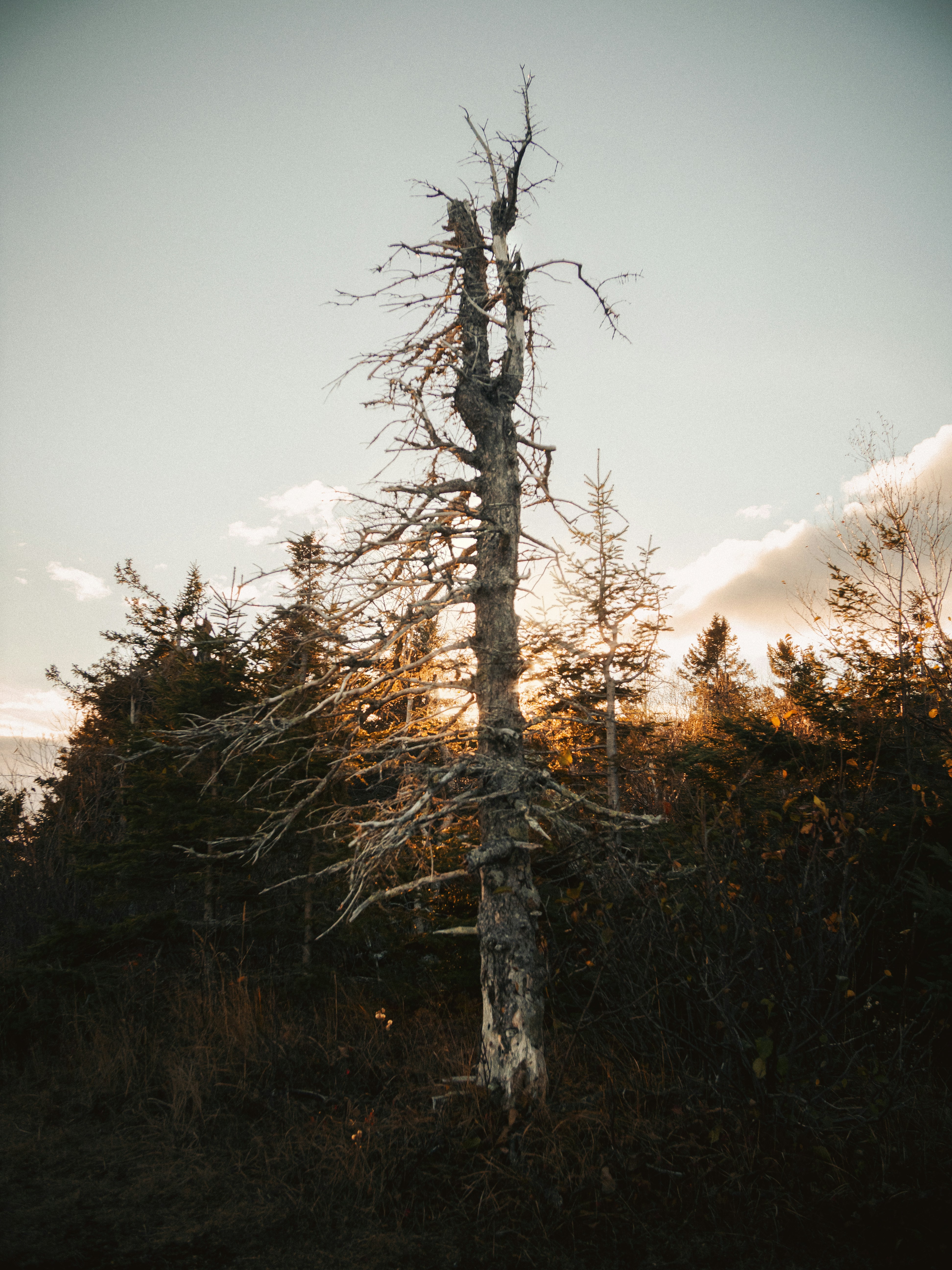 Photo by aahubs
