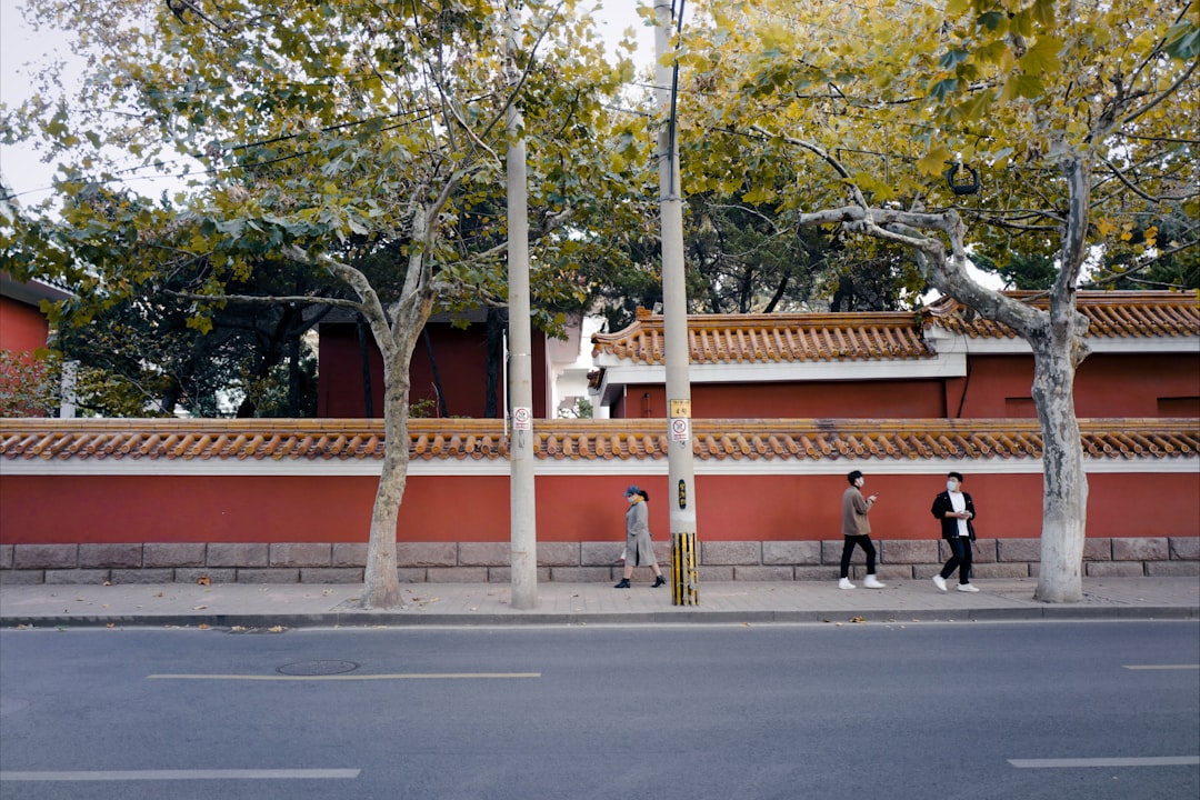 people walking on street during daytime