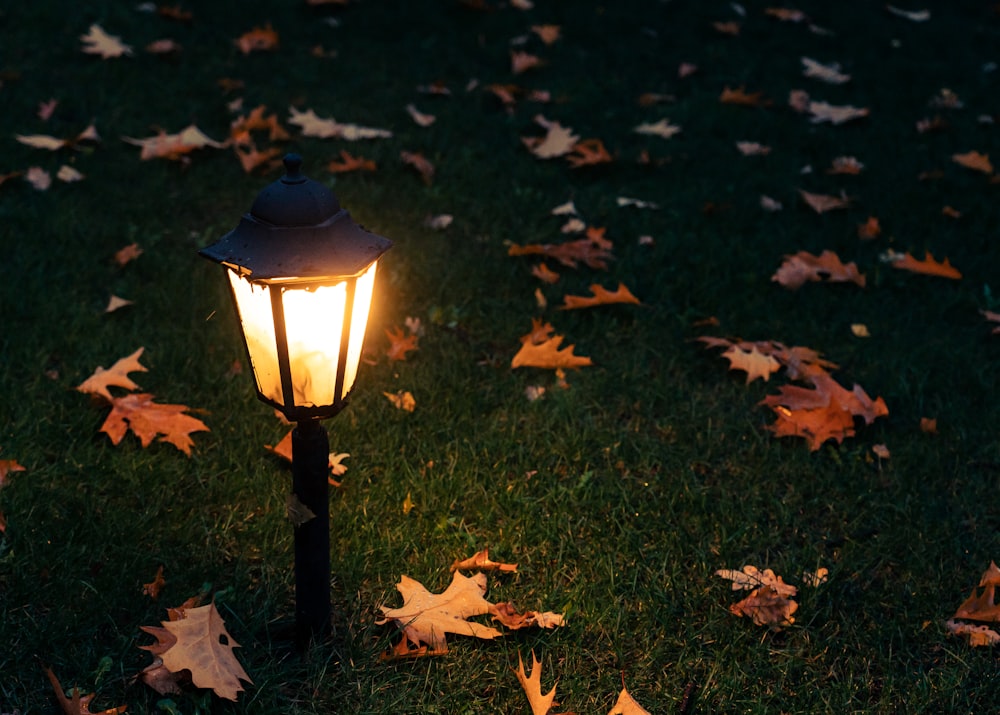 black and yellow lamp on green grass