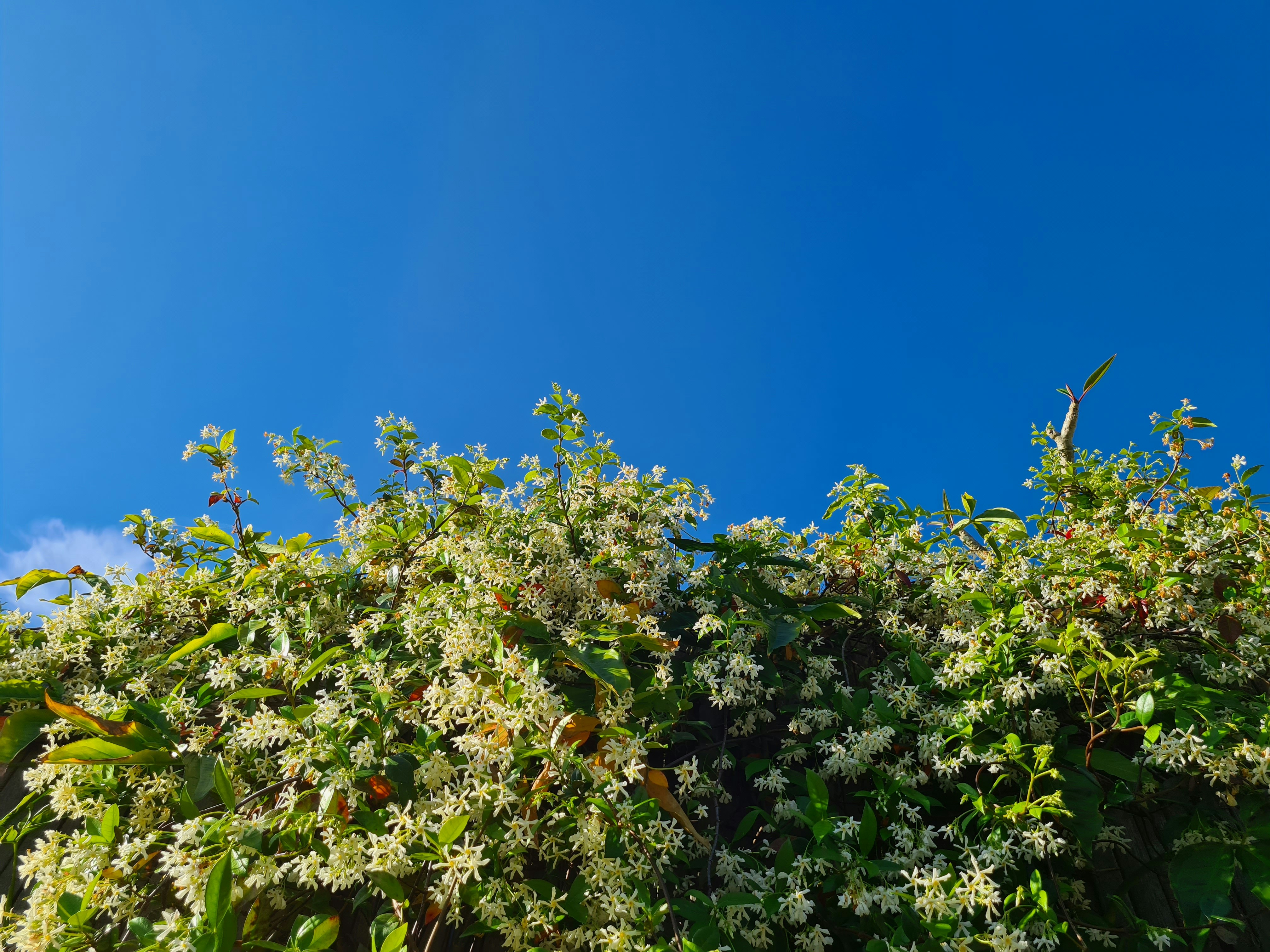 Photo by keeley_rose