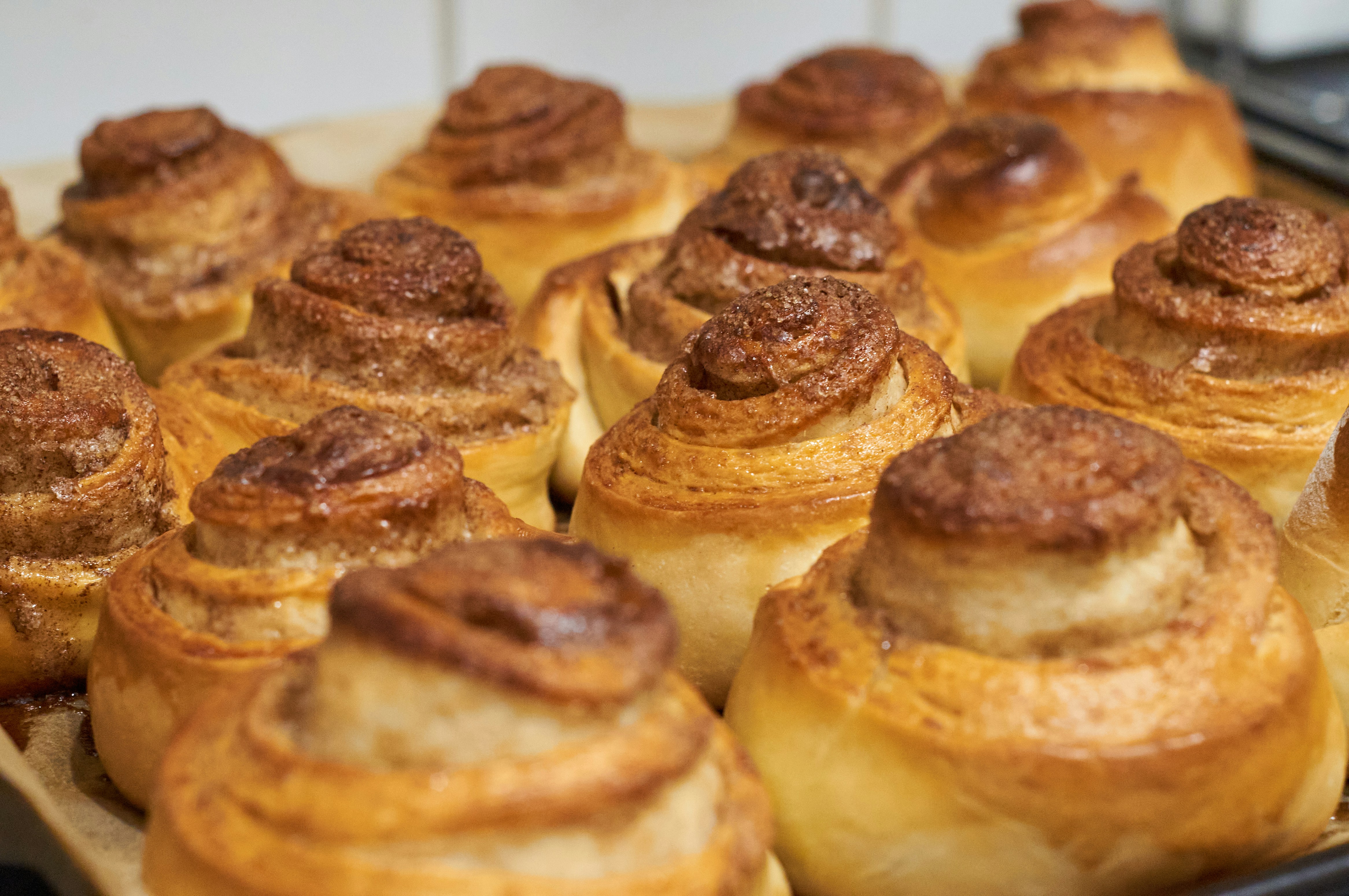 Cinnamon Roll