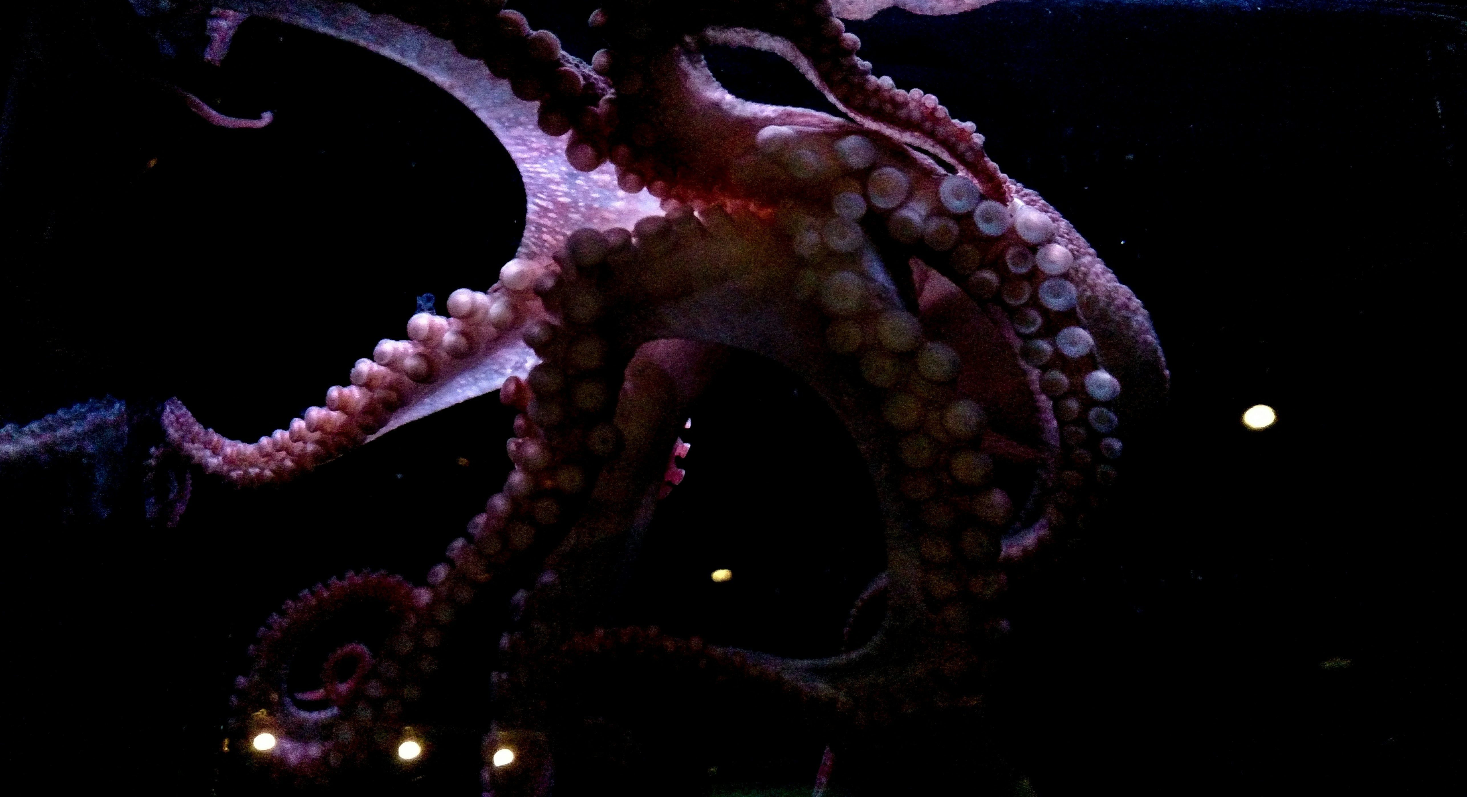 photo-1604350005543-11e377f642ee?ixid=M3