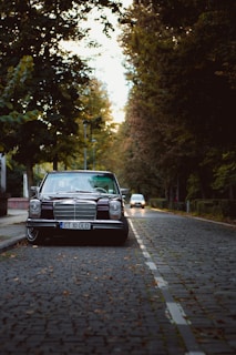 A classic black car is parked on a cobblestone street, lined with tall leafy trees on both sides. Another car is visible in the distance, further down the road. The scene is shaded, with dappled light coming through the tree canopy.