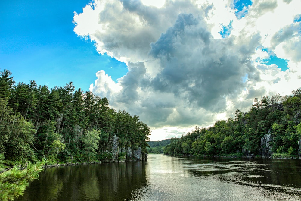 green trees beside river under white clouds and blue sky during daytime