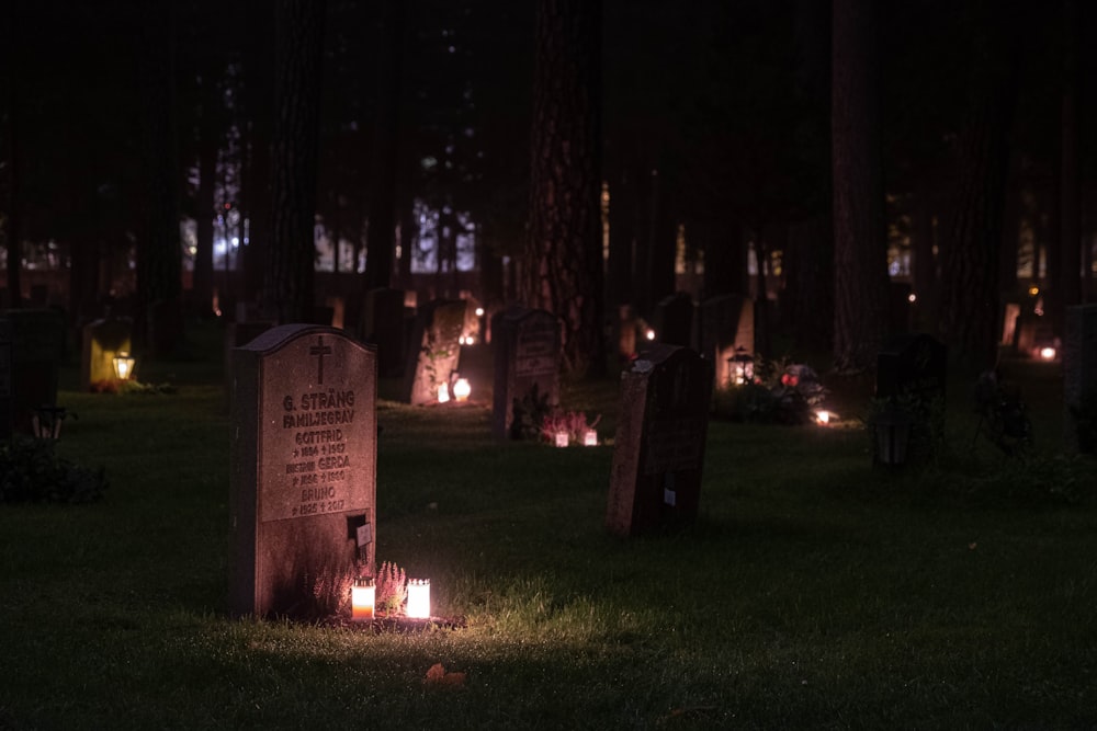 people sitting on green grass field during night time