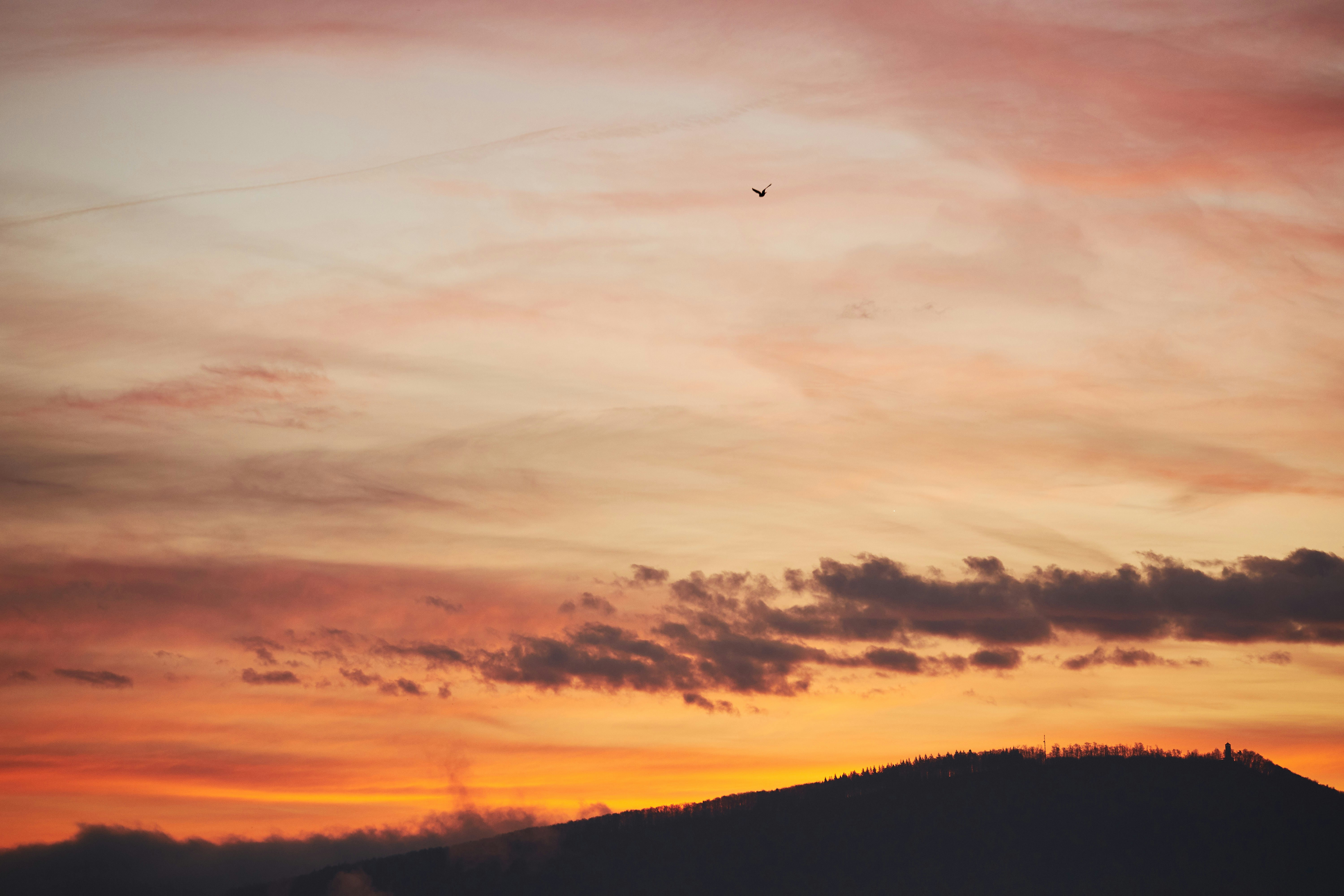 Photo by wolfgang_hasselmann