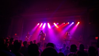 people watching band performing on stage