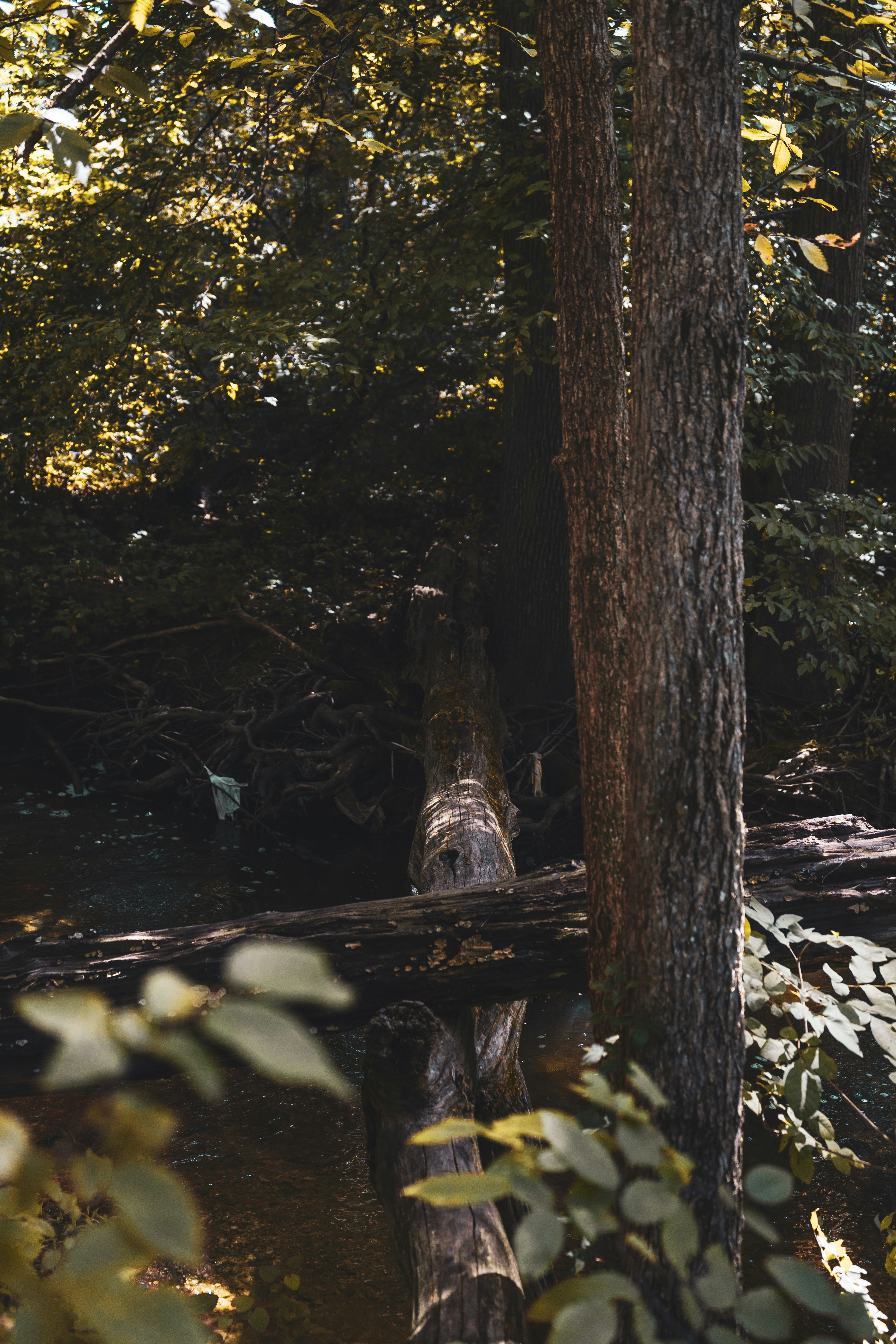 Photo by mayertawfik