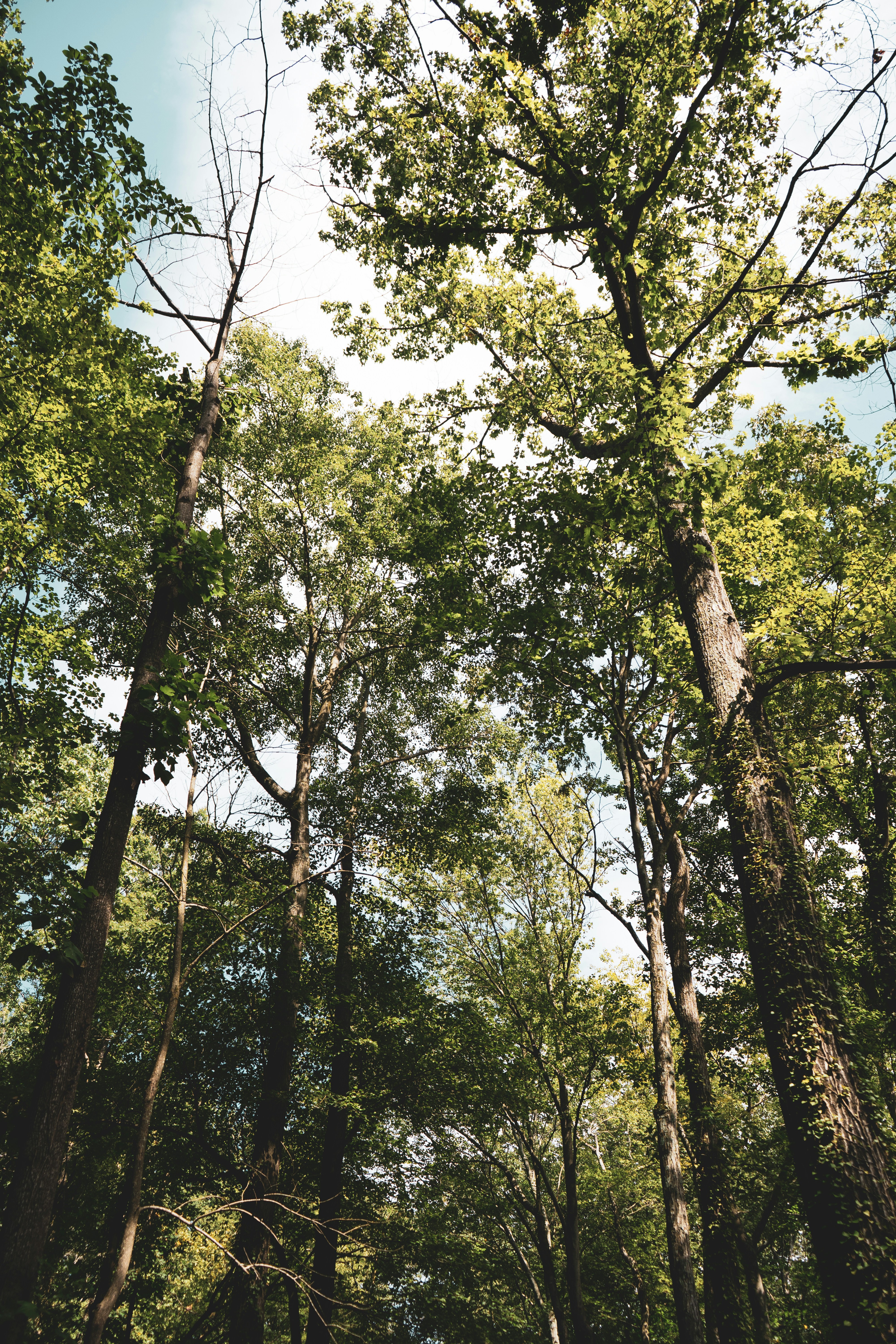 Photo by mayertawfik