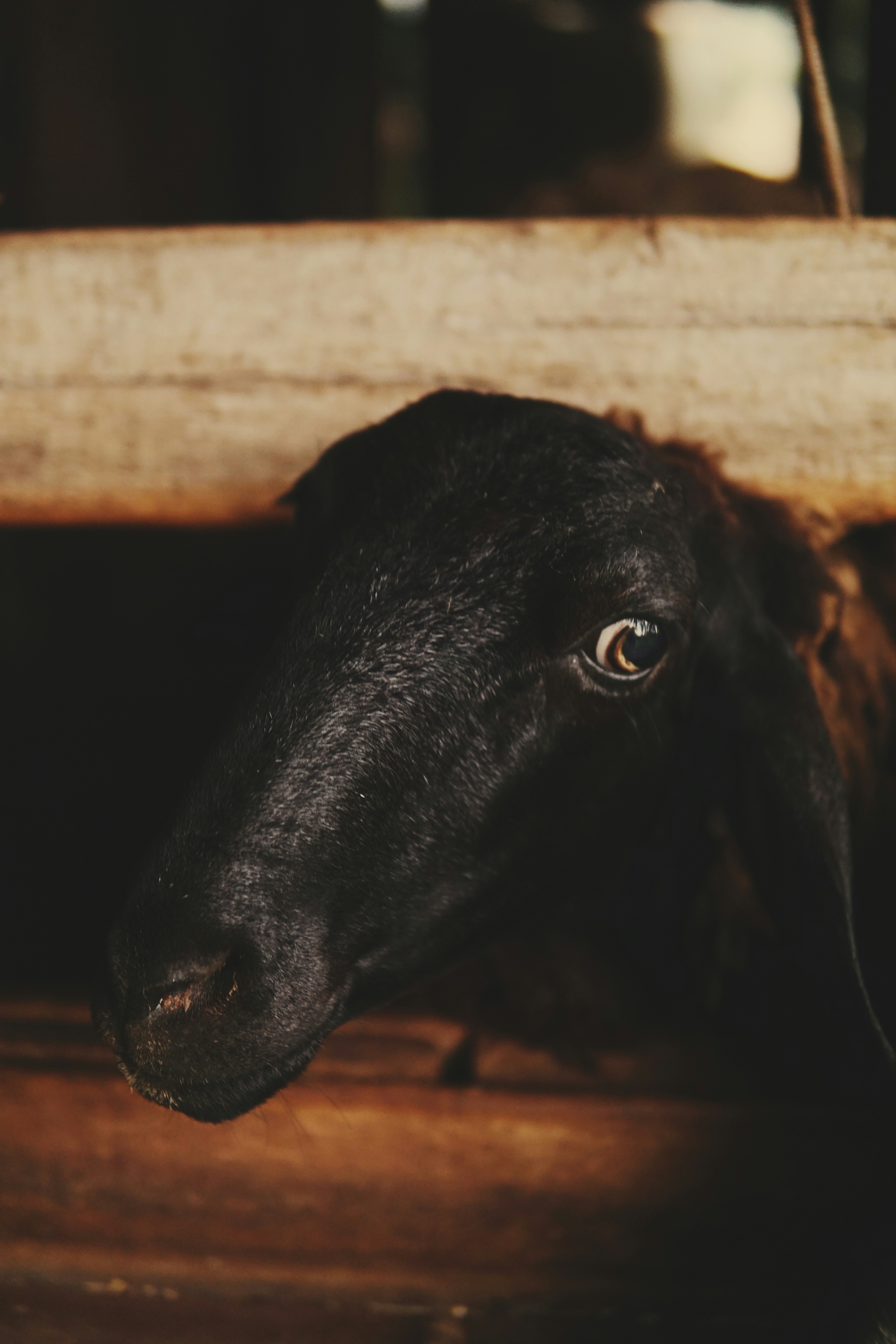 Photo by filipe_cantador