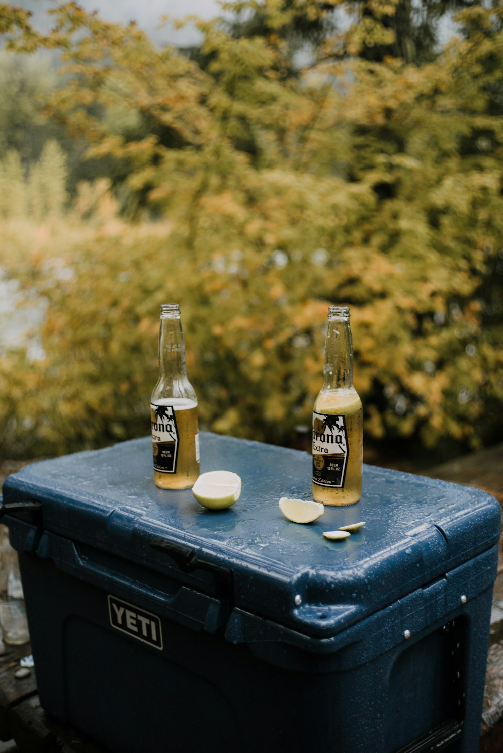 Bouteille de bière Corona Extra sur table en bois noir