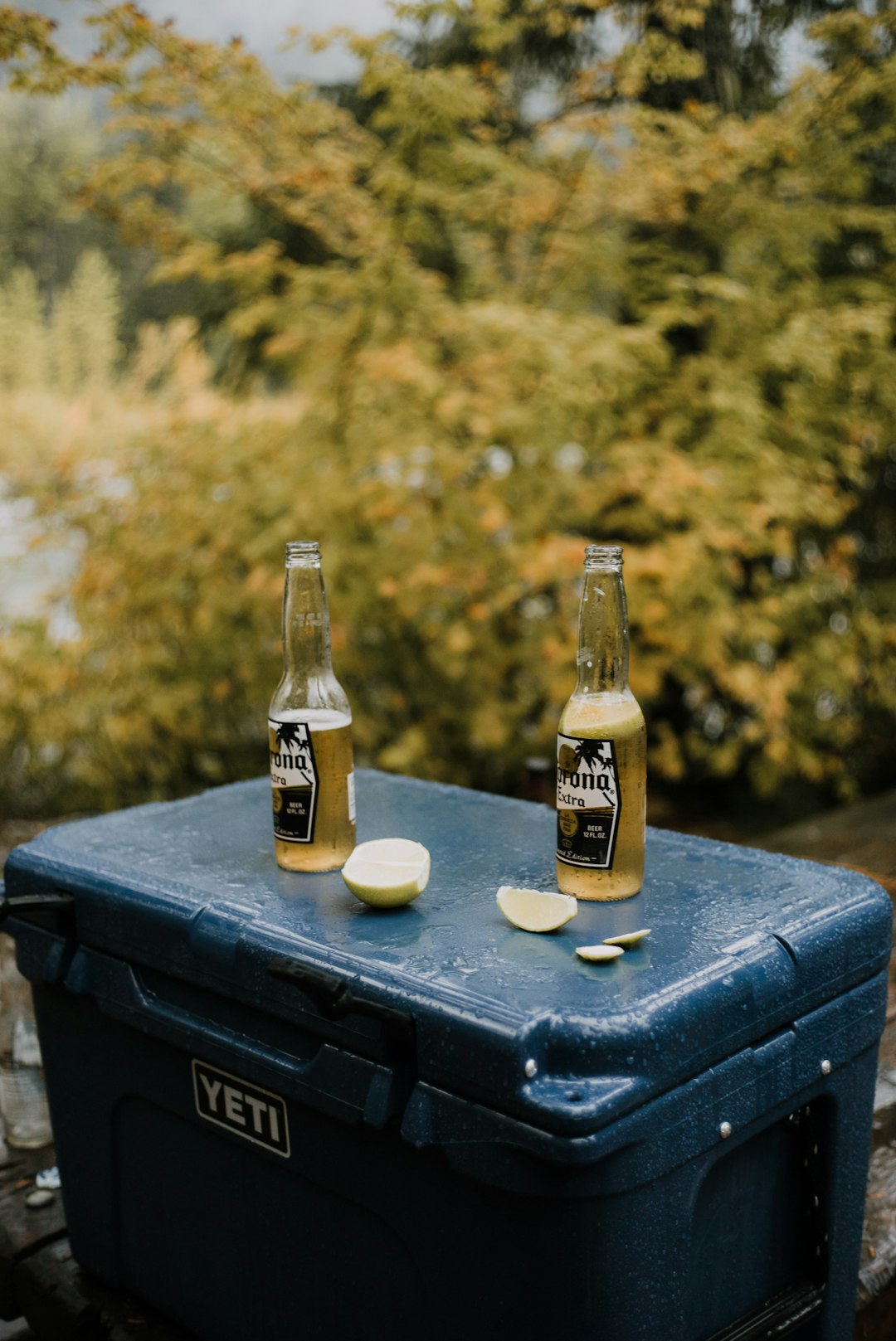  corona extra beer bottle on black wooden table cooler