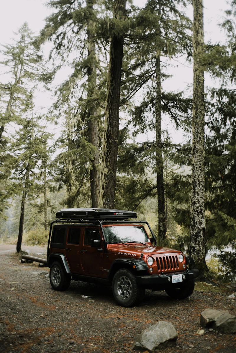 Thule roof bars for cars with rails