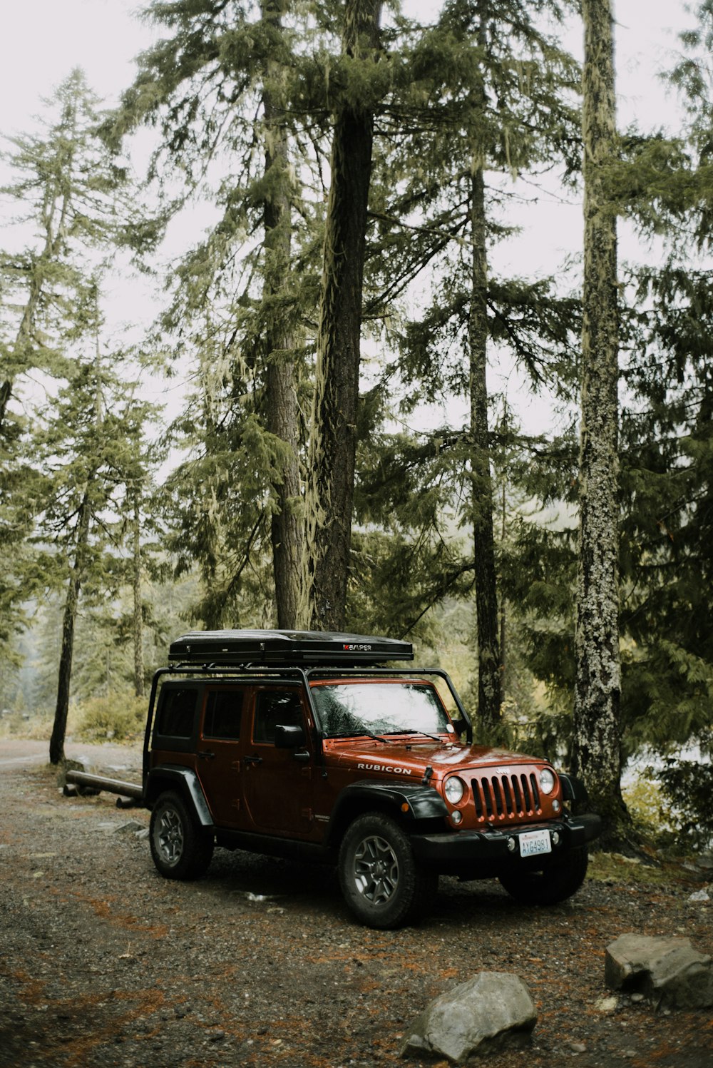 black jeep wrangler in the woods