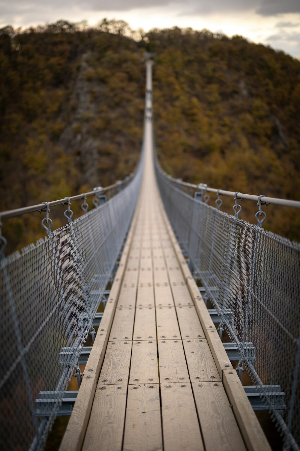 weiße Holzbrücke mit Maschendrahtzaun