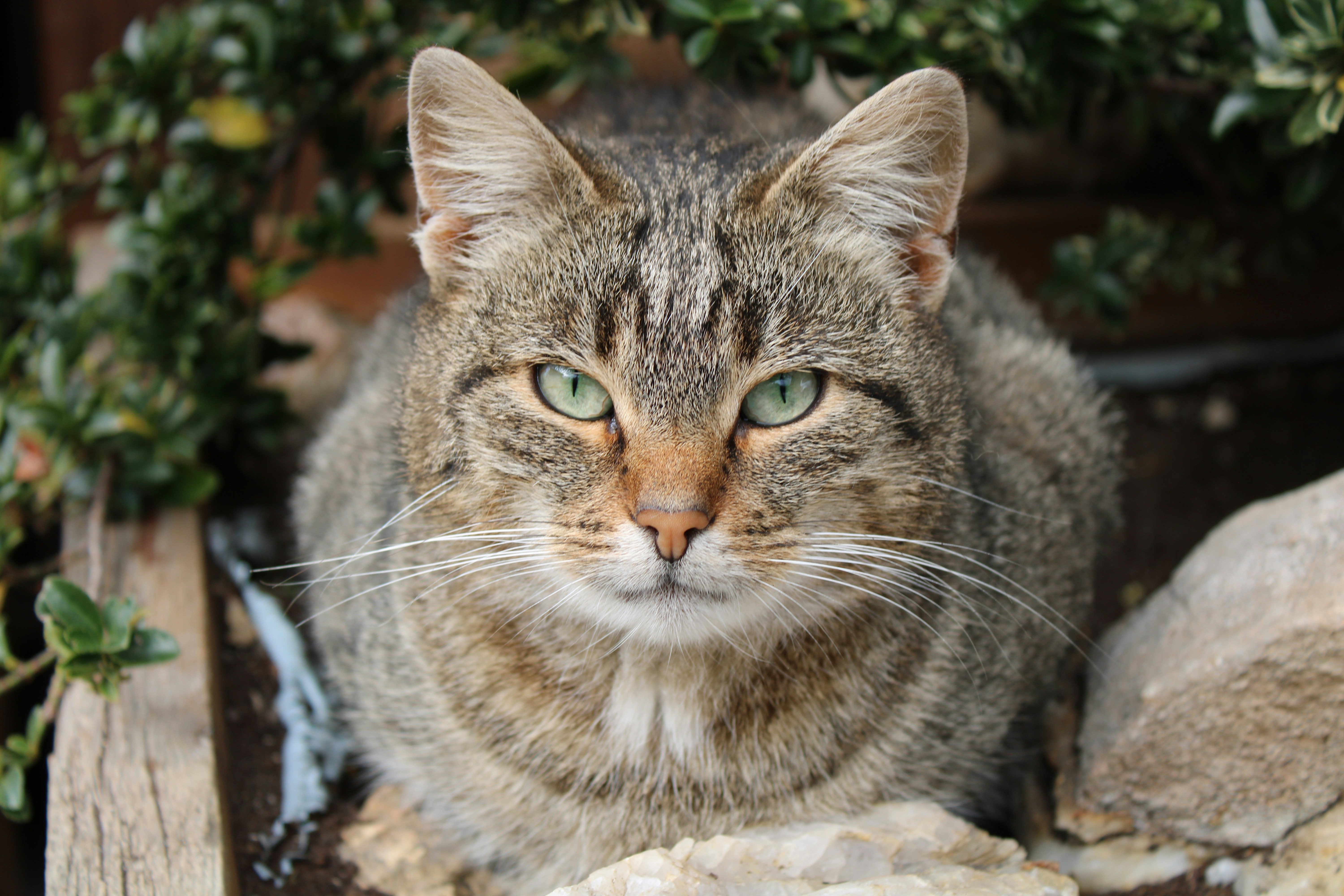 Photo by fotos_leichtgemacht