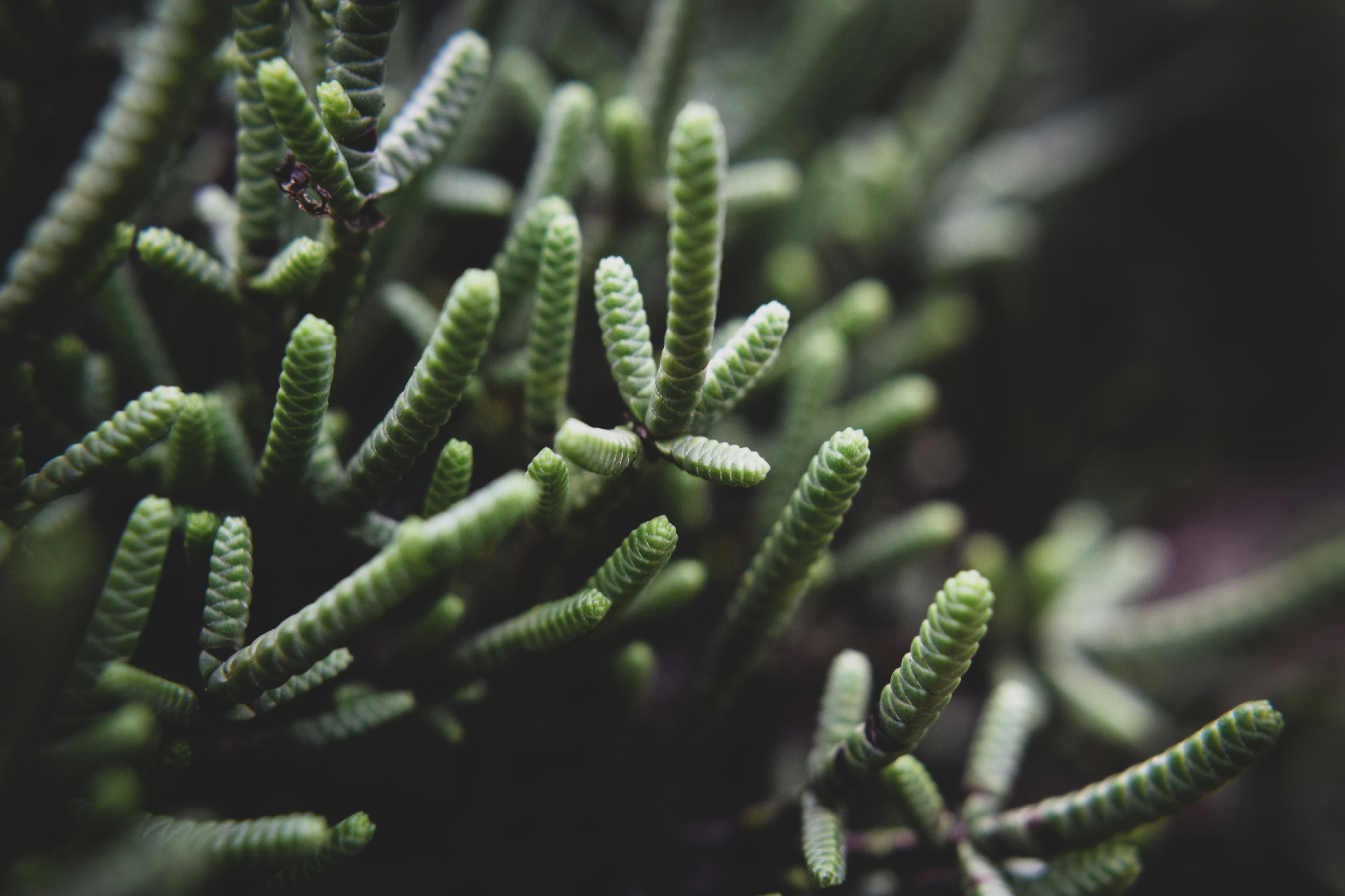 Photo by eleanorbrooke