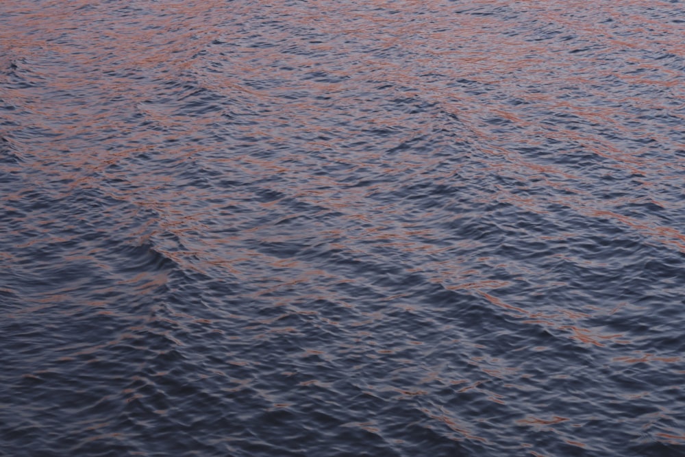 body of water during daytime