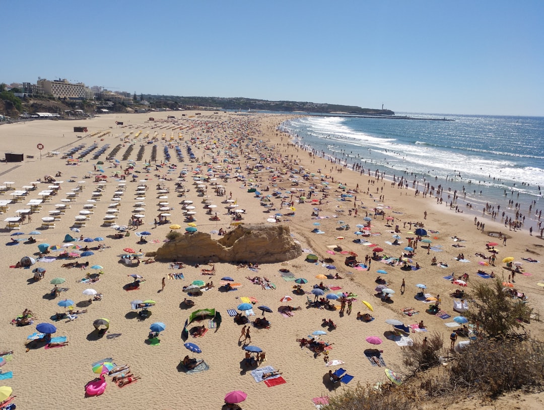 people on beach during daytime