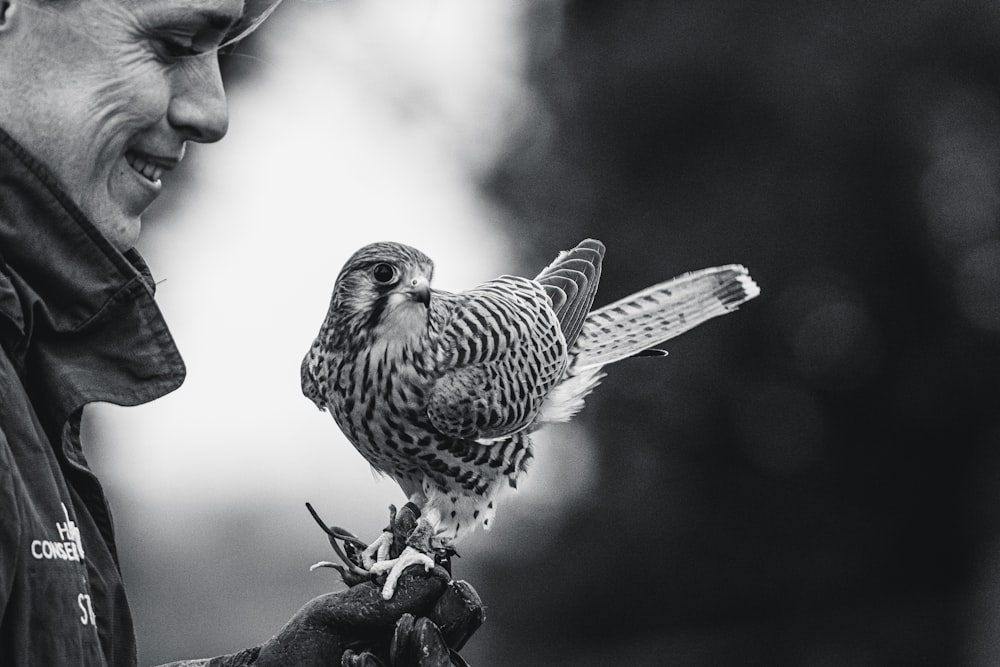 grayscale photo of owl perched on tree branch