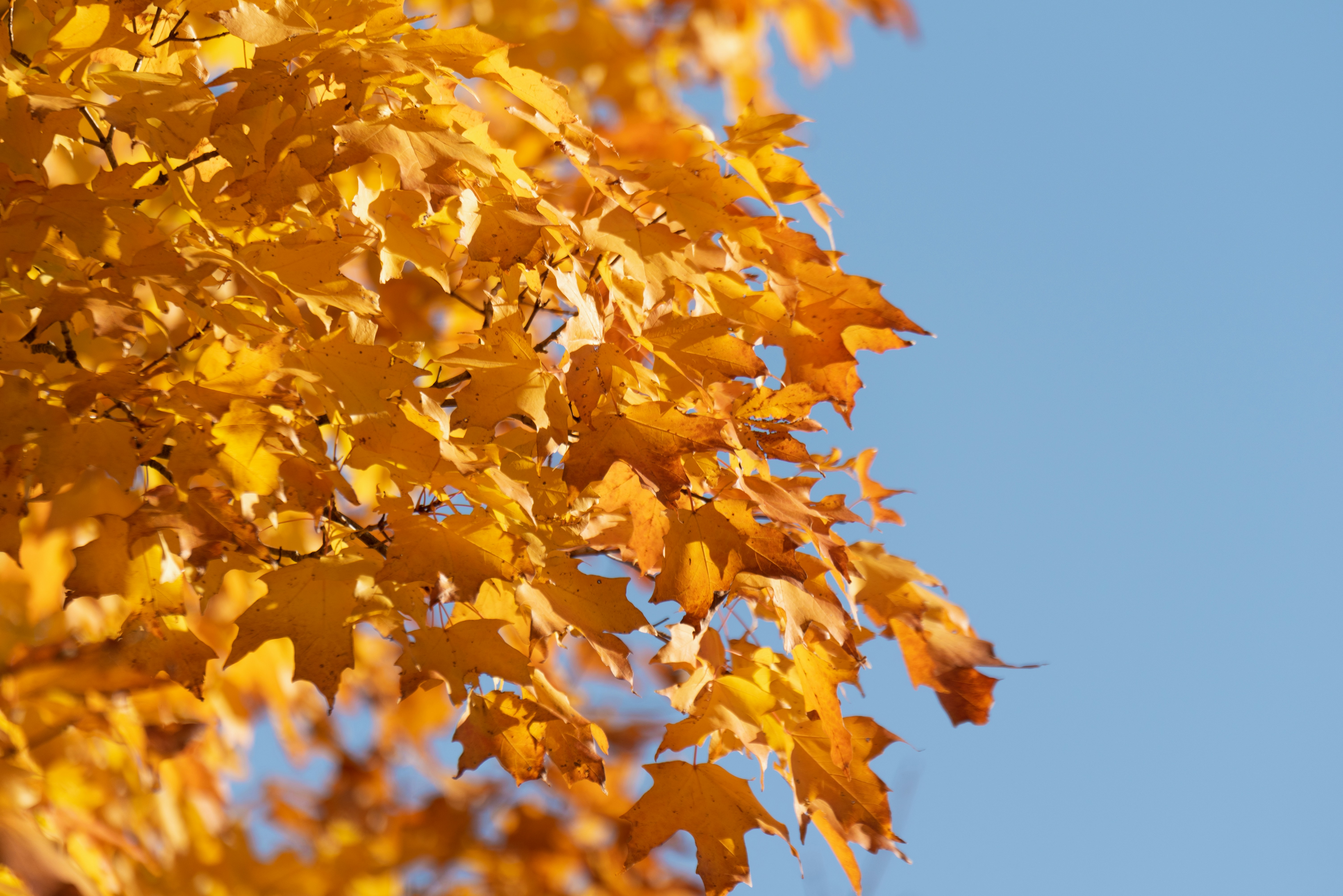 Photo by christopherphigh