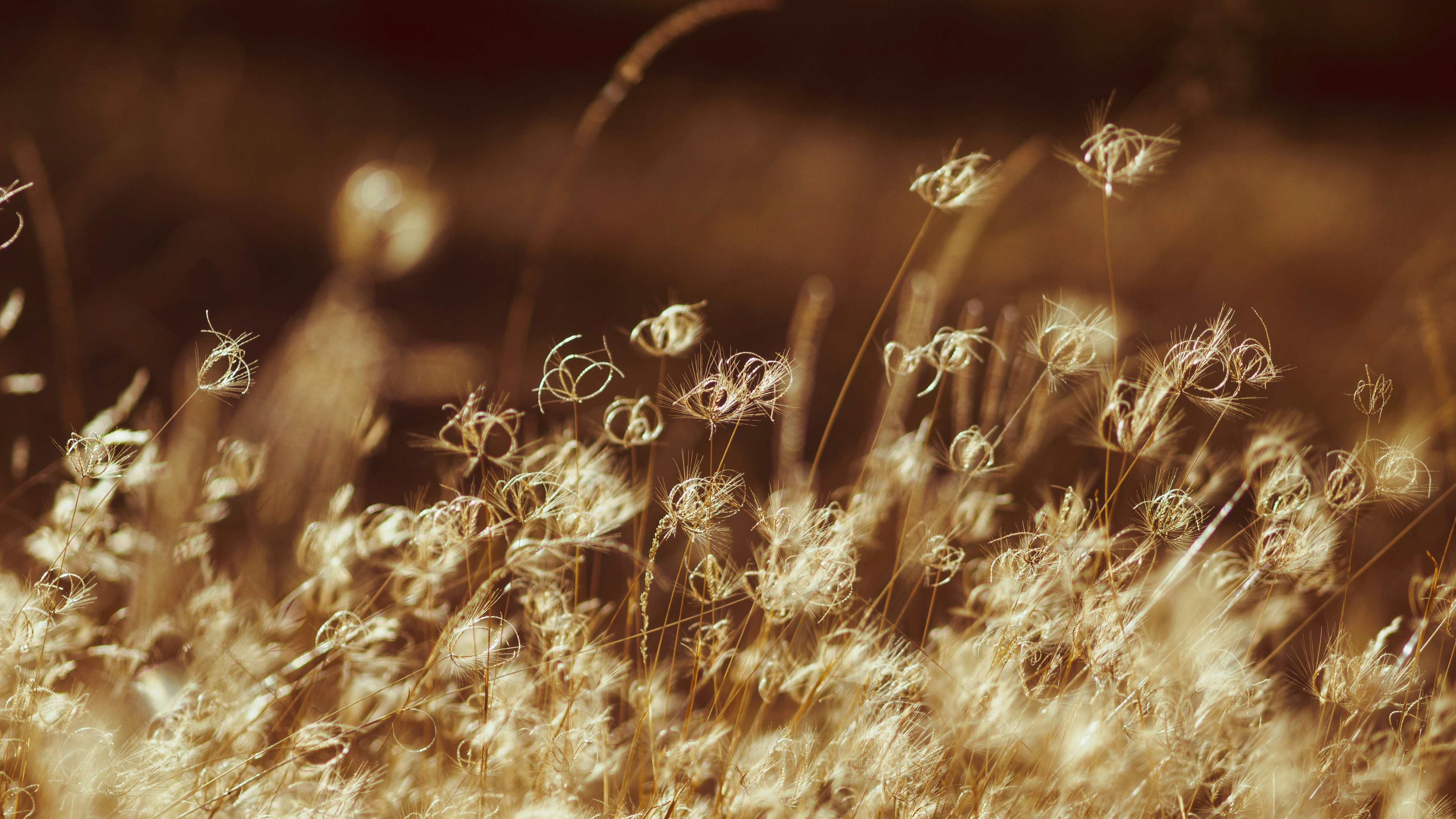 Photo by stuffinabox