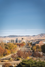 aerial view of city buildings during daytime