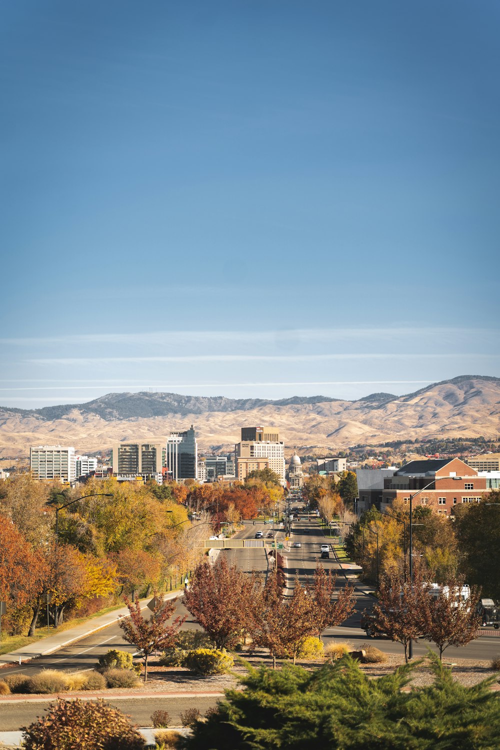 aerial view of city buildings during daytime