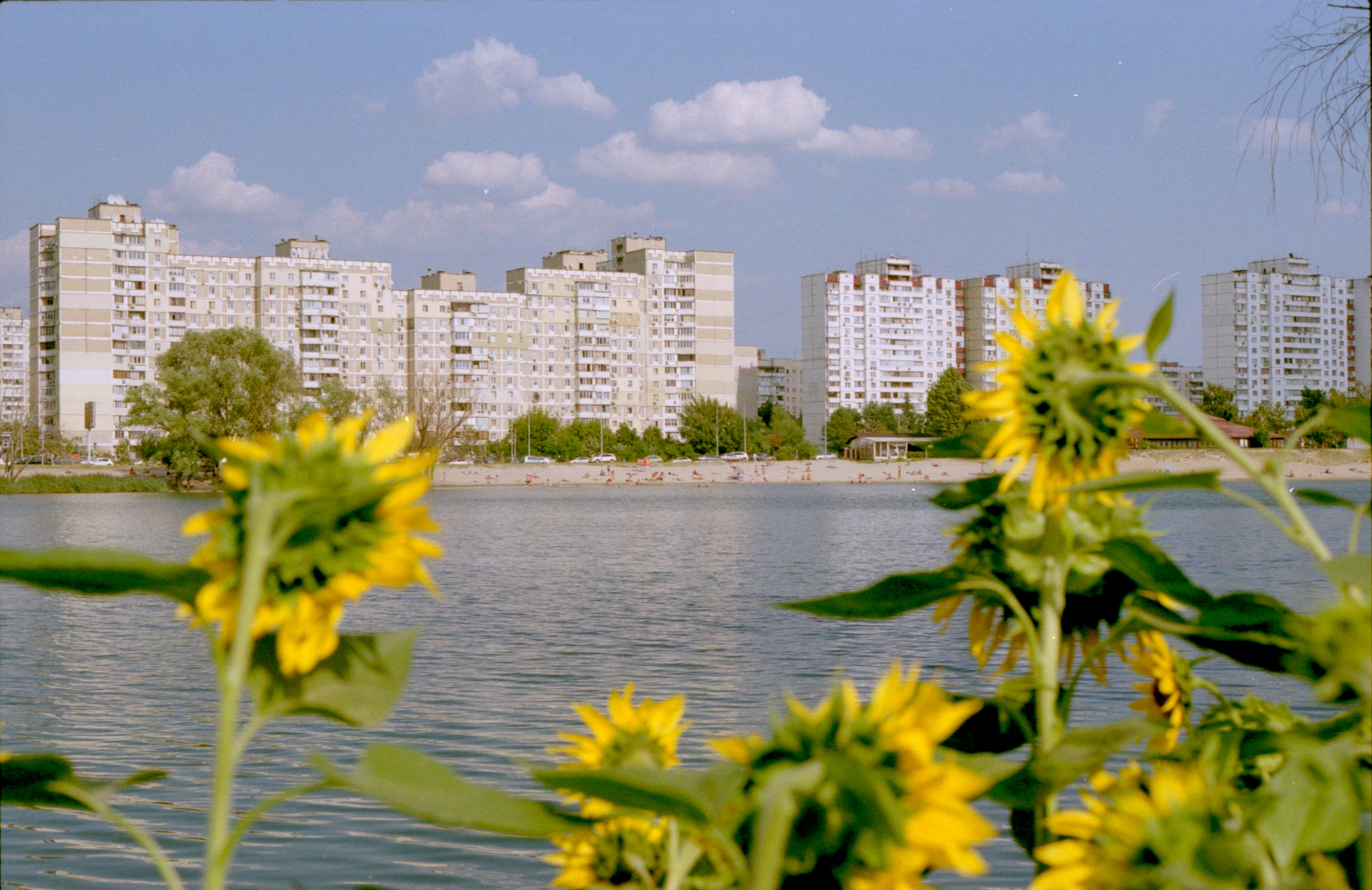 city skyline across body of water during daytime