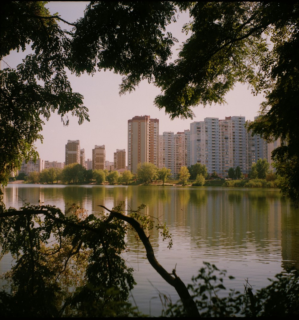 Cuerpo de agua cerca de árboles y edificios de gran altura durante el día