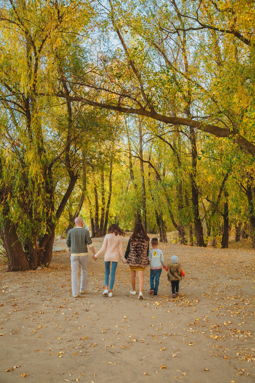 people walking on pathway between trees during daytime