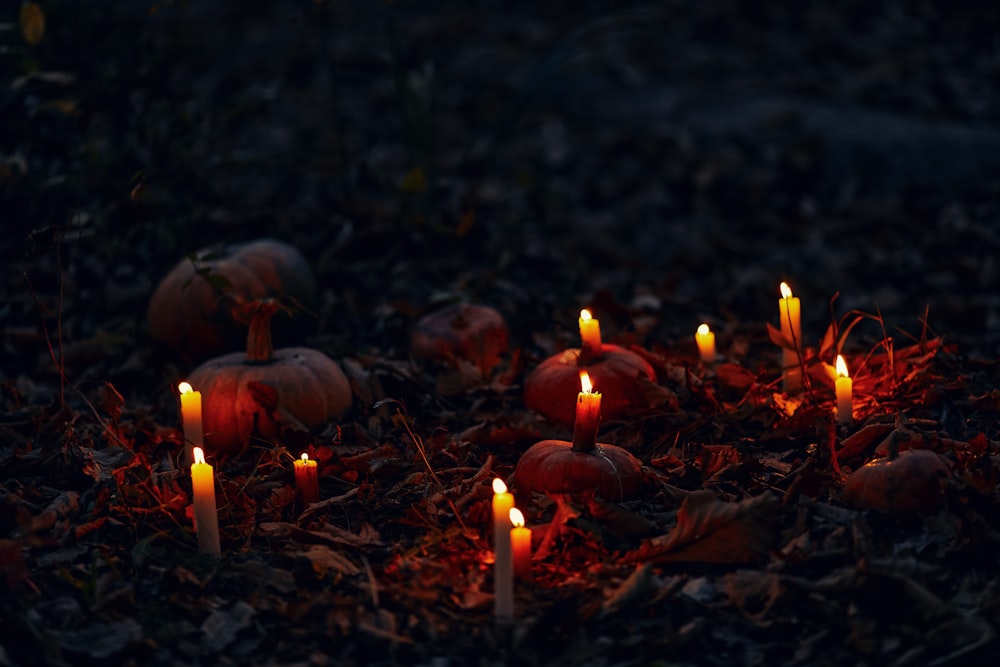 white candles on brown dried leaves