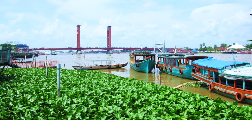 green and blue boat on water near red bridge during daytime