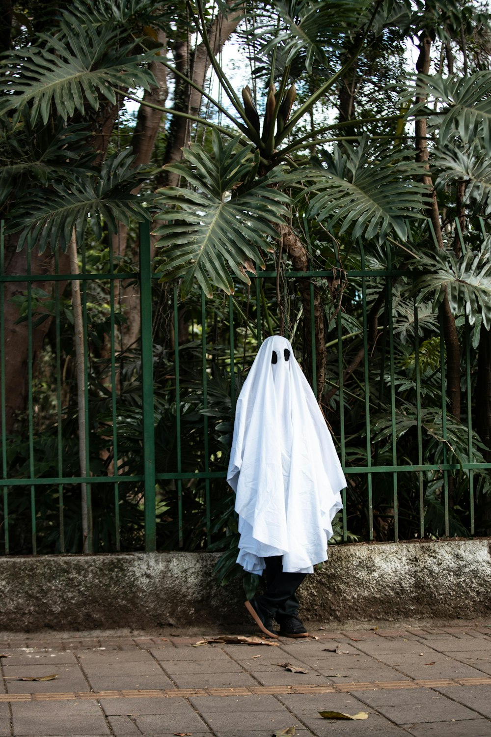 pessoa em manto branco em pé perto da palmeira verde durante o dia