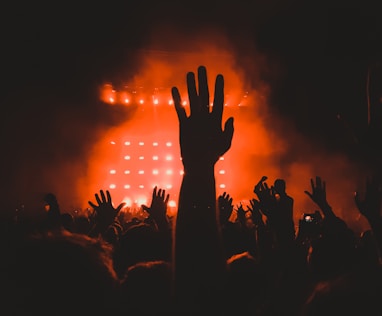 people raising their hands during concert