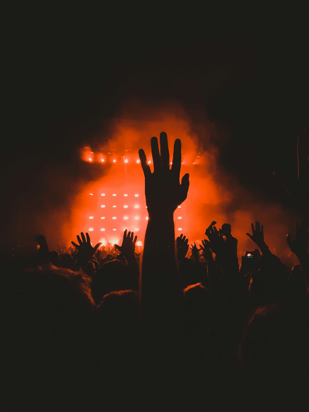 people raising their hands during concert