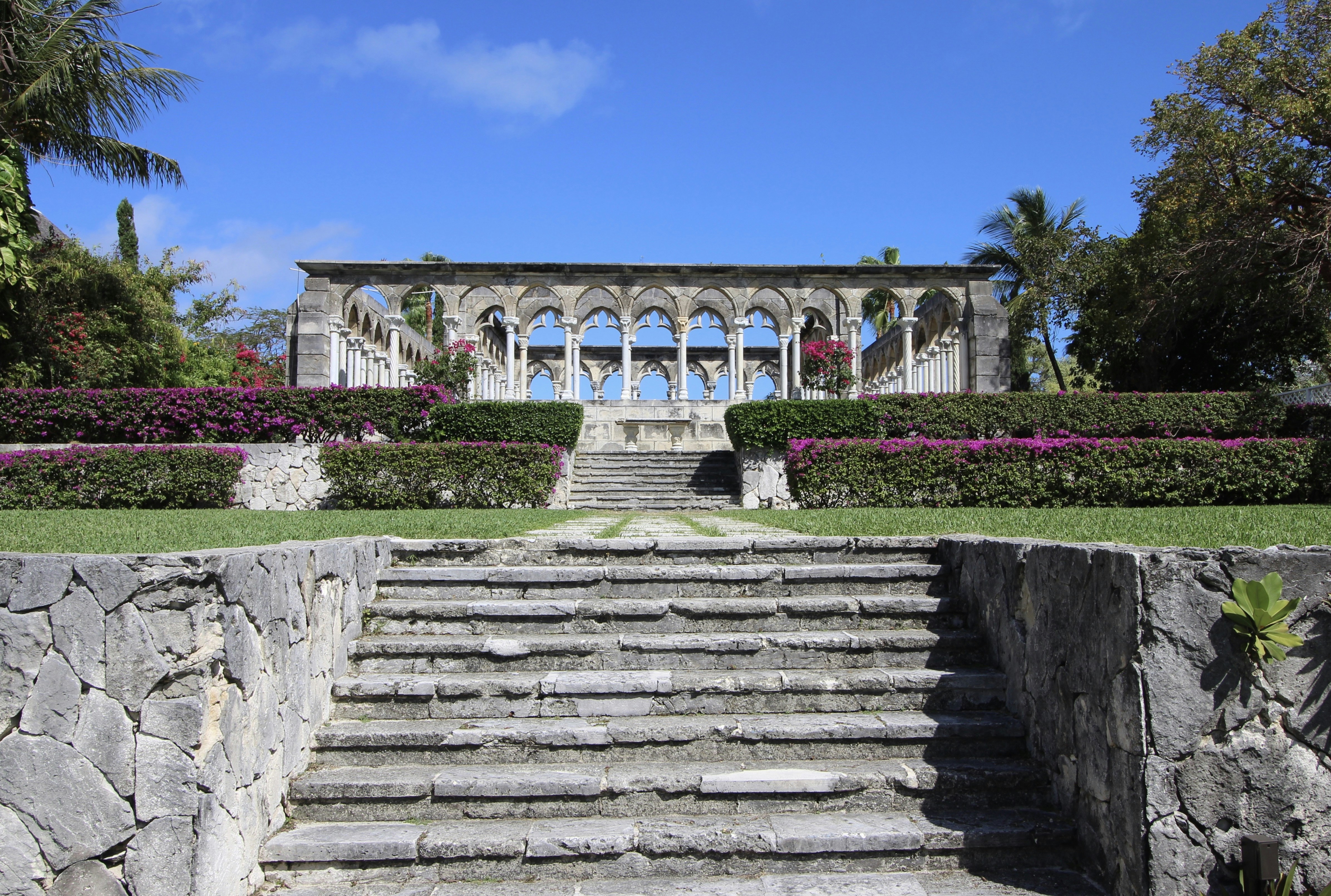 gray concrete stairs near green plants during daytime bahamas teams background