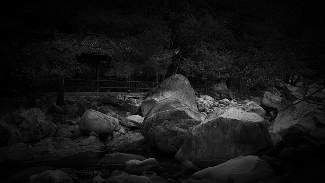 grayscale photo of rocks on river