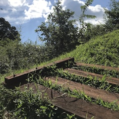 A wooden pallet lies on a grassy slope with lush green vegetation surrounding it. The sky above is partly cloudy, allowing patches of sunlight to illuminate the scene. Tall shrubs and small trees are visible in the background, adding to the natural setting.