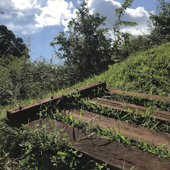 A wooden pallet lies on a grassy slope with lush green vegetation surrounding it. The sky above is partly cloudy, allowing patches of sunlight to illuminate the scene. Tall shrubs and small trees are visible in the background, adding to the natural setting.