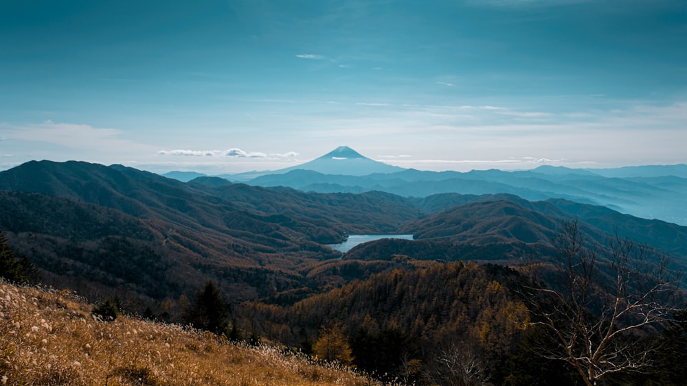 green and brown trees near mountain under blue sky during daytime