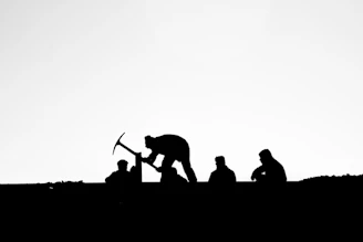 silhouette of people on field during daytime