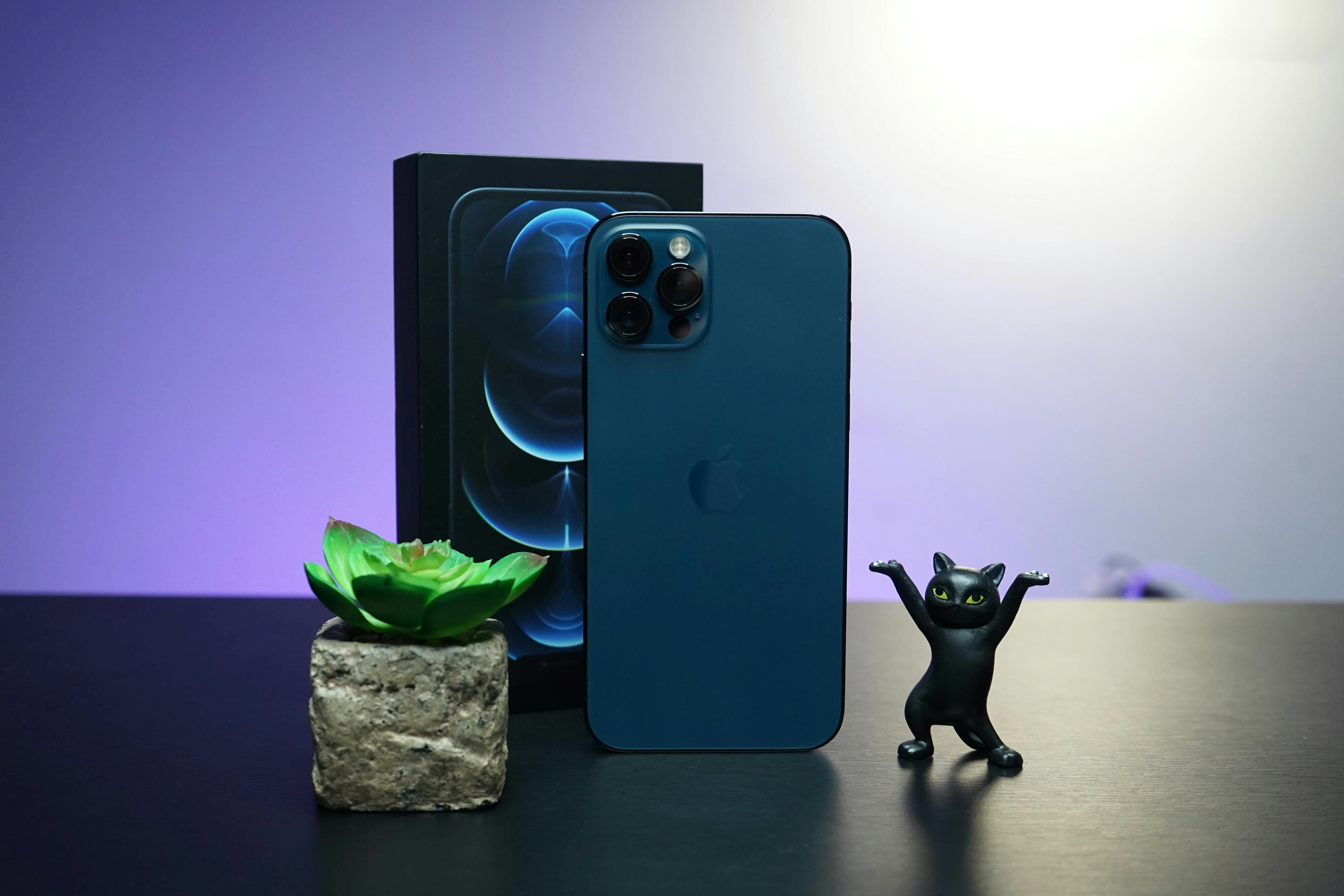 black cat figurine beside black speaker