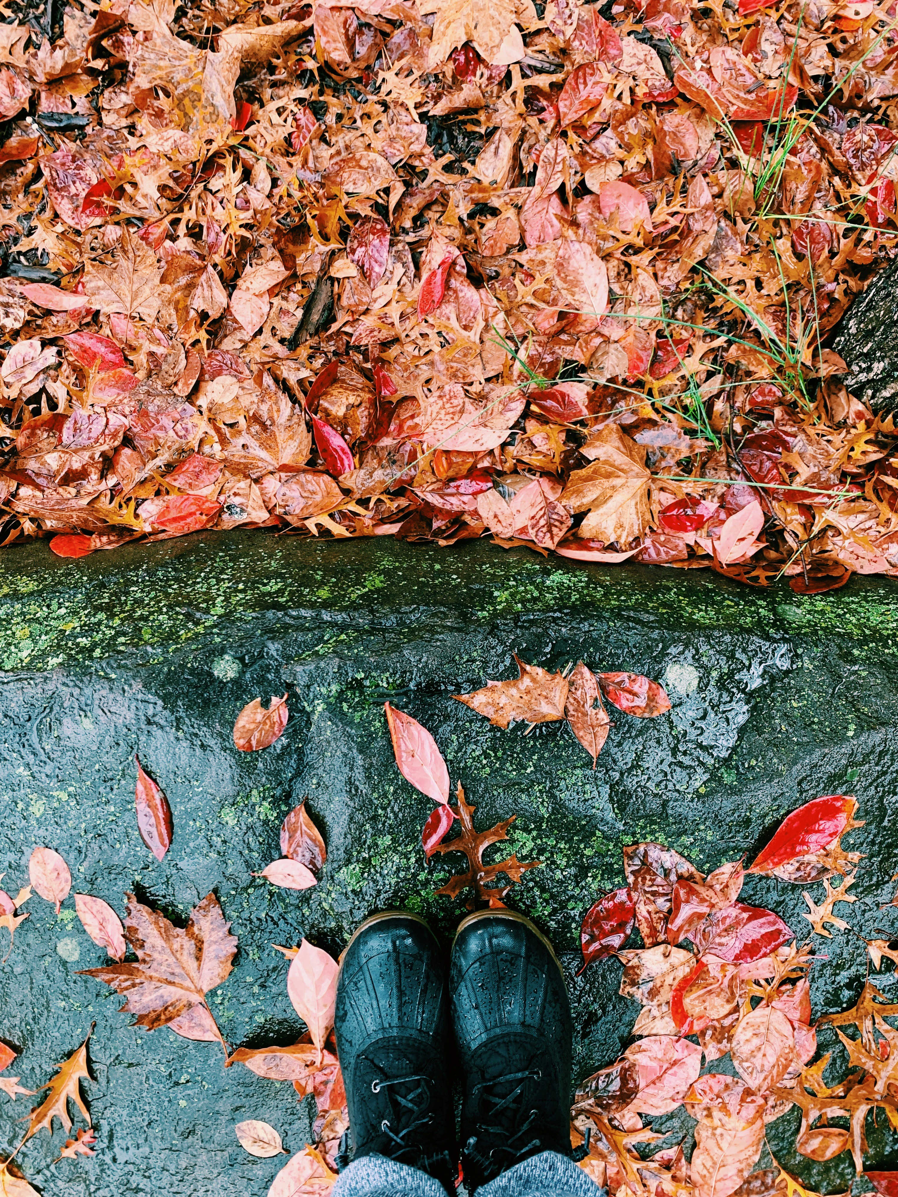 Stylish and Versatile Boots
