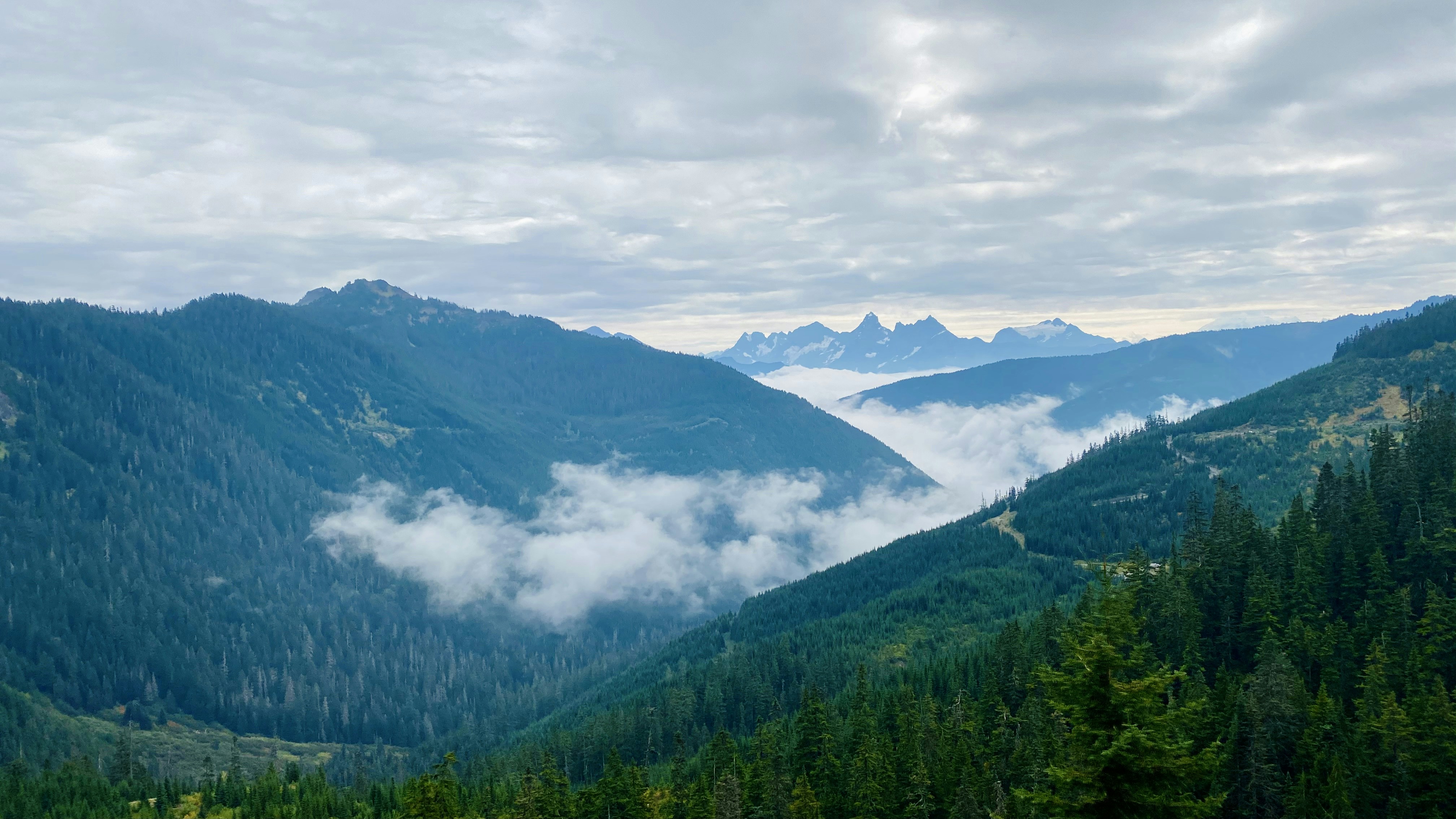 Photo by murph_zheng